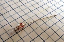 Žiarovka NARVA 12V 80mA 4,26X11,7 dlhé kontakty OR356-1 červené